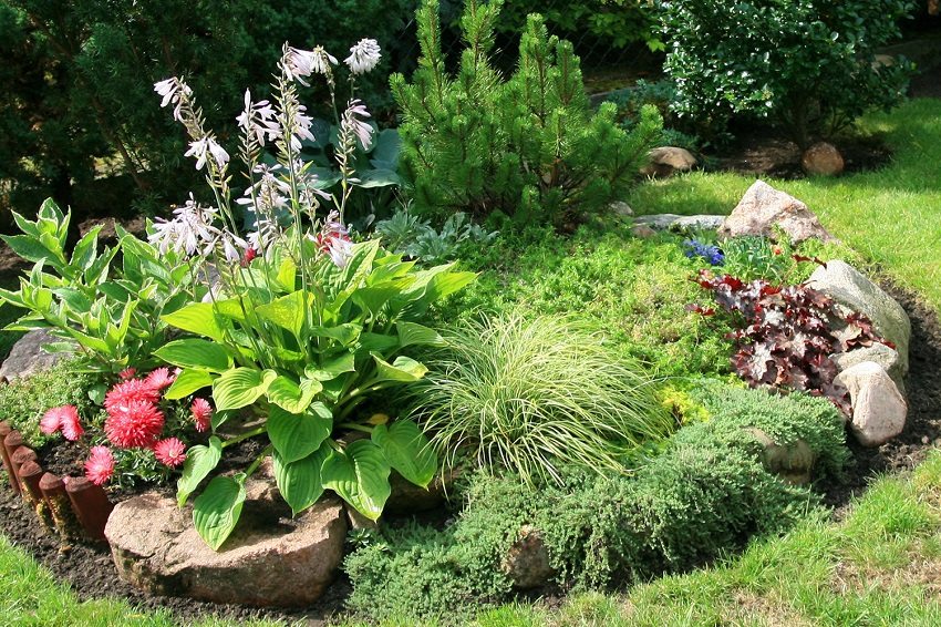 Tavallinen kukkapenkki kivillä ja monenlaisilla kasveilla Tavallinen kukkapenkki kivillä ja monenlaisilla kasveilla