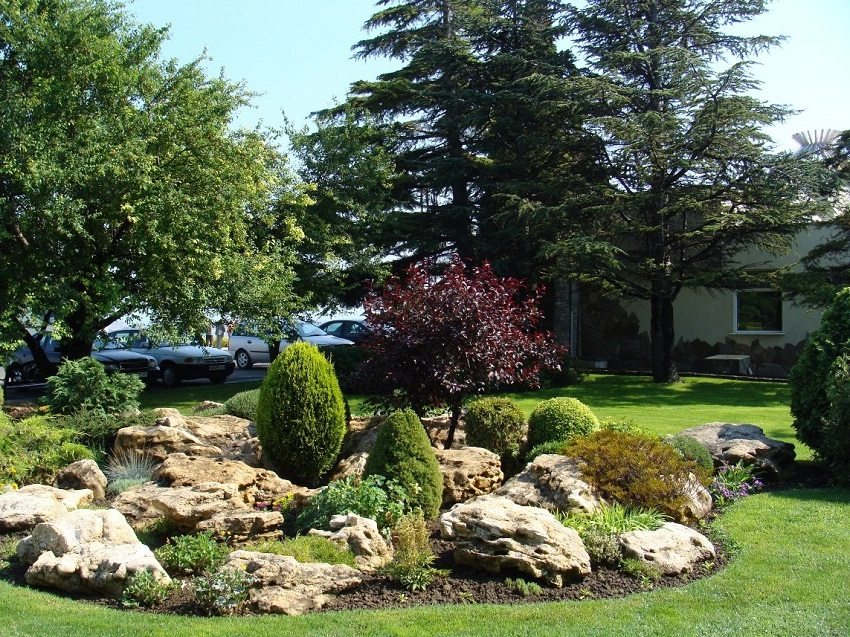 Mielenkiintoinen idea yksinkertaisesta kukkapenkistä, jossa käytetään tulivuoren tuffia ja havupuita Mielenkiintoinen idea yksinkertaisesta kukkapenkistä, jossa käytetään tulivuoren tuffia ja havupuita