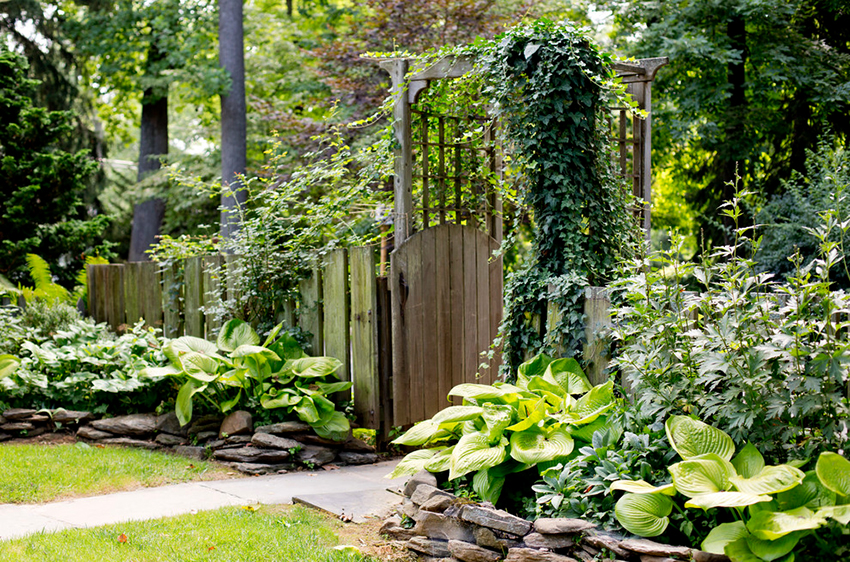 Kalkkikivi voi luonnollisen värinsä ansiosta luoda kauniita kukkapenkkejä Kalkkikivi voi luonnollisen värinsä ansiosta luoda kauniita kukkapenkkejä