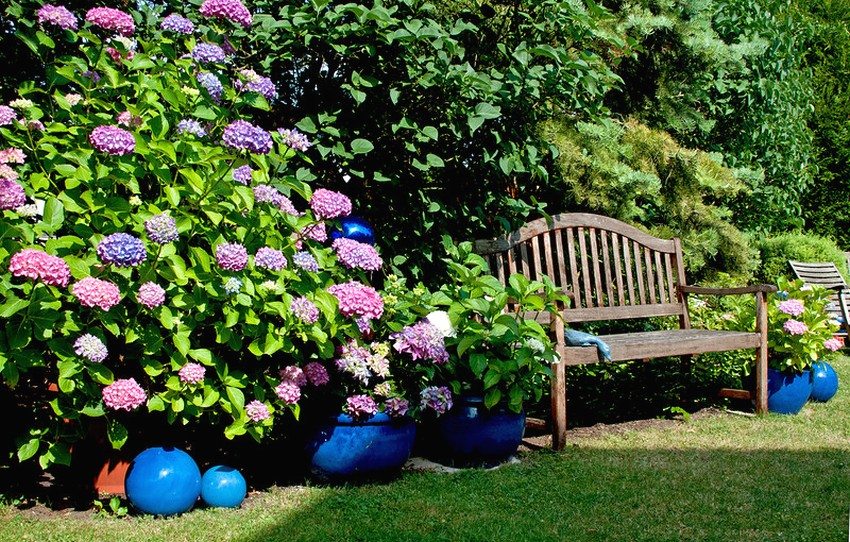 A wooden bench with a back is used to organize a seating area in the garden A wooden bench with a back is used to organize a seating area in the garden