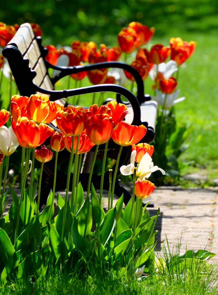 Metal products are highly durable and long-lasting with minimal maintenance. Metal products are highly durable and long-lasting with minimal maintenance.