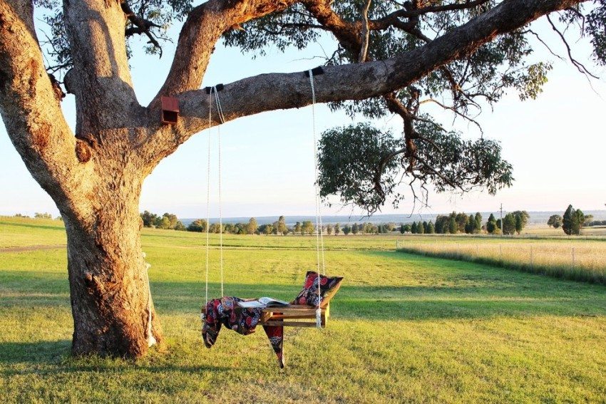 สวิงห้อยลงมาจากต้นไม้ด้วยเชือก สวิงห้อยลงมาจากต้นไม้ด้วยเชือก