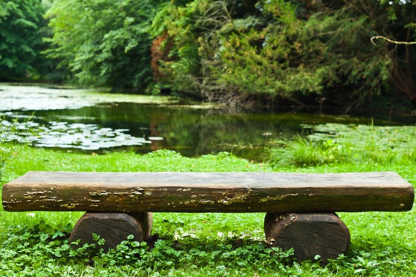 Για να δημιουργήσετε έναν πάγκο από ένα δέντρο που κόβεται, χρειάζεστε ένα αλυσοπρίονο Για να δημιουργήσετε έναν πάγκο από ένα δέντρο που κόβεται, χρειάζεστε ένα αλυσοπρίονο