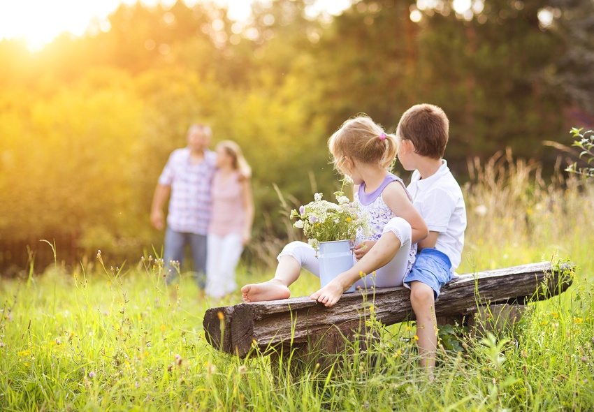 Ένας πάγκος από κορμούς θα δώσει έμφαση στο φυσικό τοπίο της προσωπικής πλοκής Ένας πάγκος από κορμούς θα δώσει έμφαση στο φυσικό τοπίο της προσωπικής πλοκής