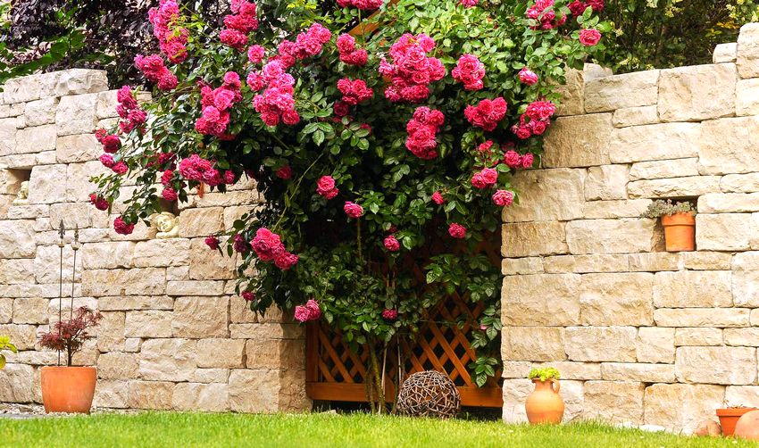 Ang isang bakod na bato ay mukhang marangyang at solid Ang isang bakod na bato ay mukhang marangyang at solid