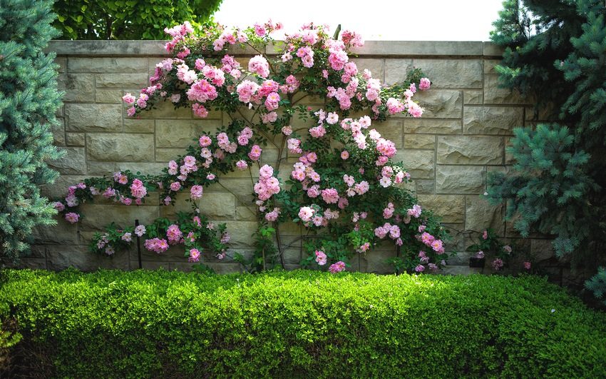 Bakod sa paligid ng isang pribadong bahay, na may linya ng artipisyal na bato Bakod sa paligid ng isang pribadong bahay, na may linya ng artipisyal na bato