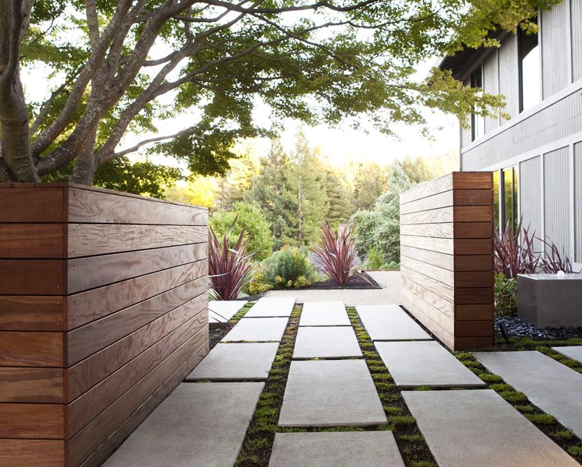 Solid hegn opnås fra tæt monterede kanter Solid hegn opnås fra tæt monterede kanter