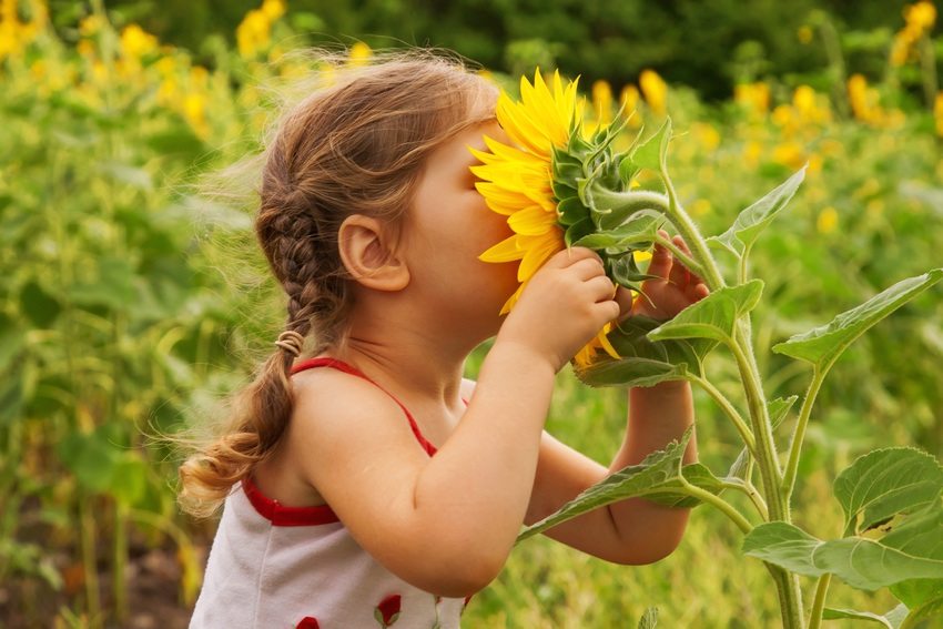 จำเป็นต้องตรวจสอบให้แน่ใจว่ามีเฉพาะพืชที่ปลอดภัยสำหรับเด็กเท่านั้นที่อยู่ในไซต์ จำเป็นต้องตรวจสอบให้แน่ใจว่ามีเฉพาะพืชที่ปลอดภัยสำหรับเด็กเท่านั้นที่อยู่ในไซต์