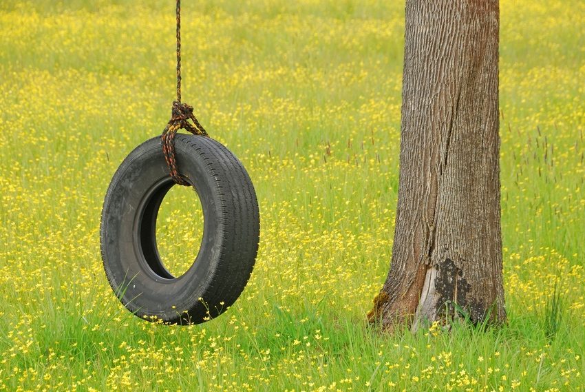 วงสวิงของยางแข็งห้อยลงมาจากกิ่งไม้ วงสวิงของยางแข็งห้อยลงมาจากกิ่งไม้