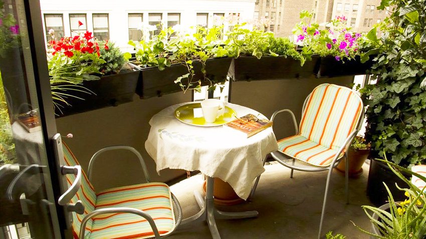 Ако лоджията няма остъкляване, тогава можете да подредите цветя на парапета Ако лоджията няма остъкляване, тогава можете да подредите цветя на парапета