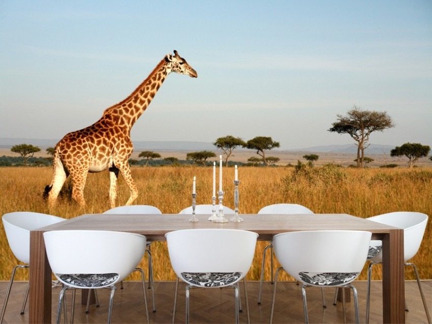 Fototapet med originalbilde Fototapet med originalbilde