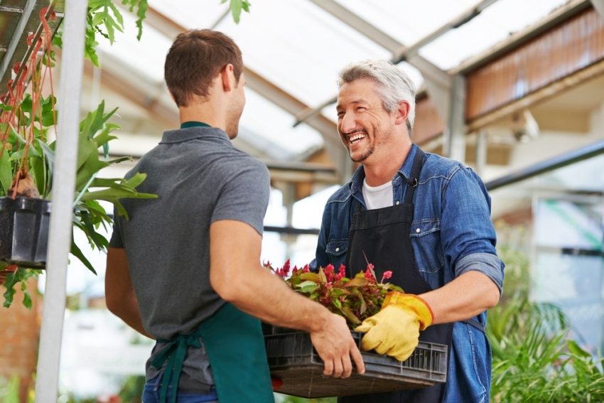 I alle henseender er et profil drivhus stærkt, pålideligt, holdbart og sikkert I alle henseender er et profil drivhus stærkt, pålideligt, holdbart og sikkert