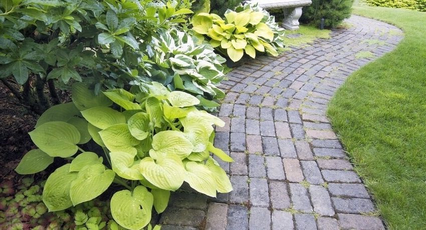 Ścieżka ogrodowa z płyt chodnikowych z prostego muru Ścieżka ogrodowa z płyt chodnikowych z prostego muru