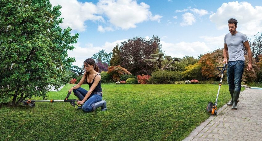 שוק חותך הבנזין מציע מגוון רחב של דגמים המיועדים לכיסוח דשא שוק חותך הבנזין מציע מגוון רחב של דגמים המיועדים לכיסוח דשא