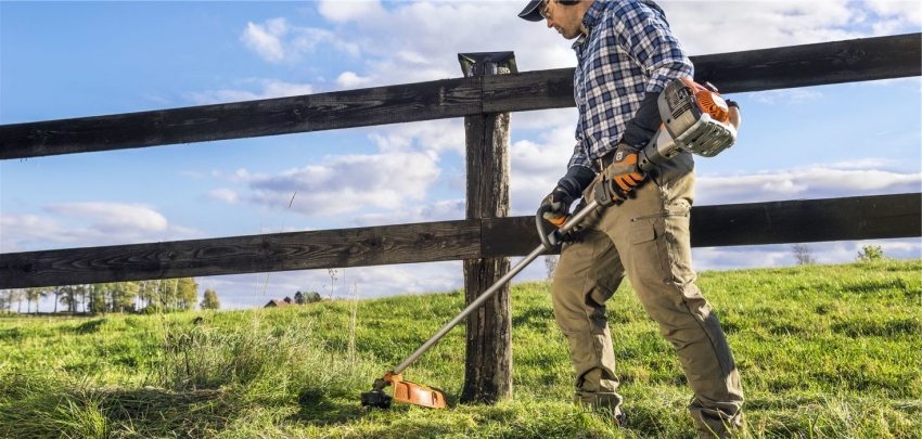 בנזוקוסה - עוזר מצוין במאבק נגד עשבים שוטים ועשבים שוטים בשטח בנזוקוסה - עוזר מצוין במאבק נגד עשבים שוטים ועשבים שוטים בשטח