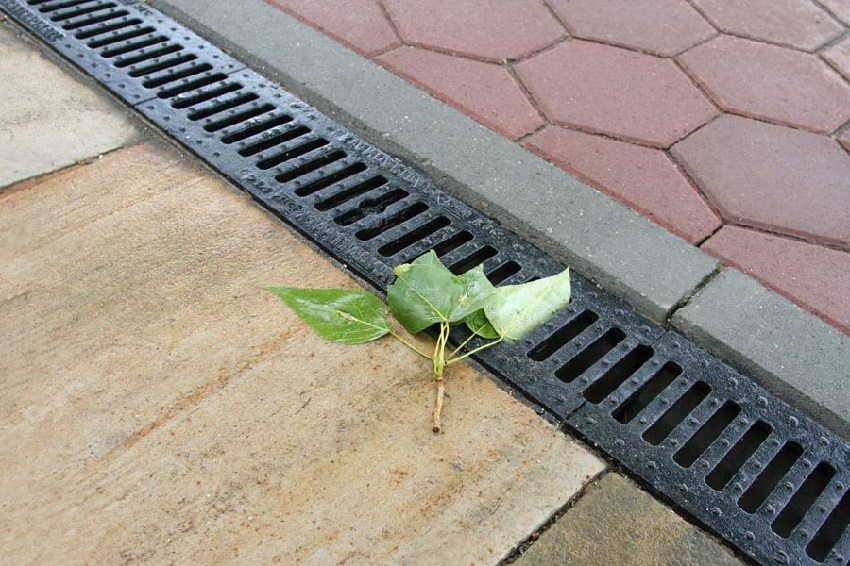 תעלת ניקוז עילית תעלת ניקוז עילית
