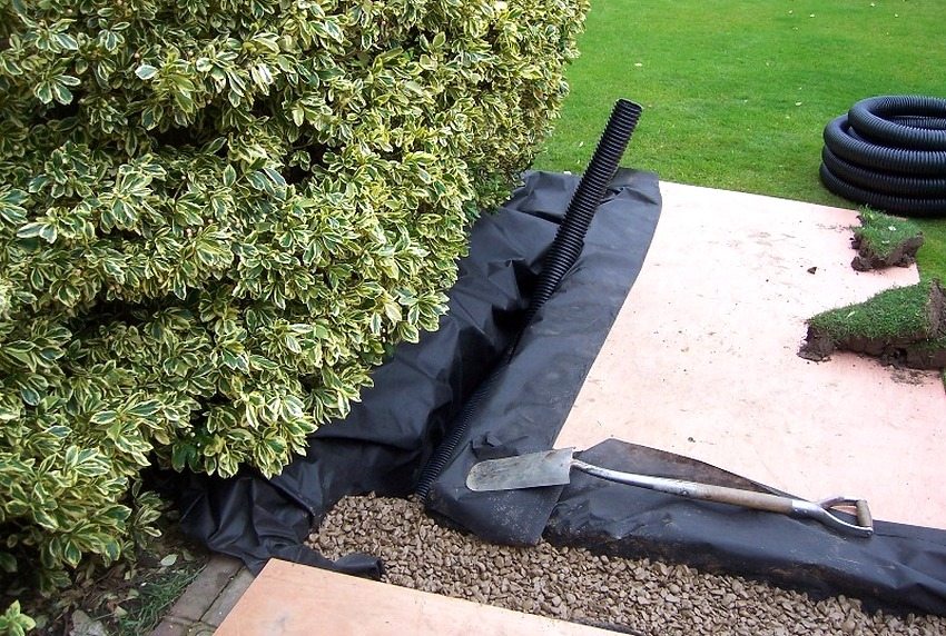 Das Entwässerungssystem hilft, mit überschüssiger Feuchtigkeit im Garten umzugehen Das Entwässerungssystem hilft, mit überschüssiger Feuchtigkeit im Garten umzugehen