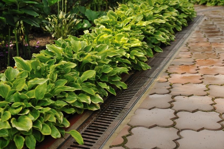 Storm sewer on a personal plot Storm sewer on a personal plot