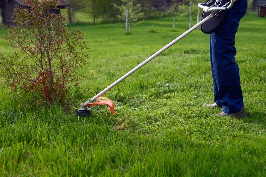 Um das Gewicht der Geräte zu reduzieren, verwenden Hersteller moderner Benzinbürsten praktische und leichte Materialien. Um das Gewicht der Geräte zu reduzieren, verwenden Hersteller moderner Benzinbürsten praktische und leichte Materialien.