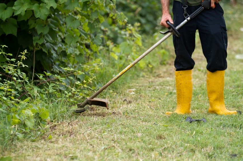 Die Wahl eines Benzinschneiders hängt von vielen Faktoren ab, z. B. von der Anbaufläche, den Geländeeigenschaften usw. Die Wahl eines Benzinschneiders hängt von vielen Faktoren ab, z. B. von der Anbaufläche, den Geländeeigenschaften usw.