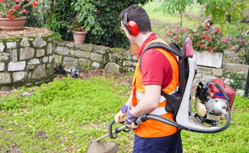 Wenn Sie Informationen zu Benzin- und Elektrotrimmern studieren, können Sie beim Kauf von Geräten die richtige Wahl treffen Wenn Sie Informationen zu Benzin- und Elektrotrimmern studieren, können Sie beim Kauf von Geräten die richtige Wahl treffen