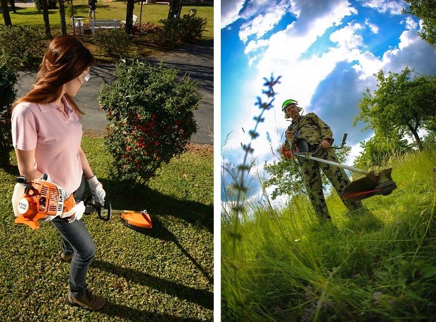 Benzin-Trimmer sind sowohl für Haushaltszwecke als auch für Profis erhältlich Benzin-Trimmer sind sowohl für Haushaltszwecke als auch für Profis erhältlich