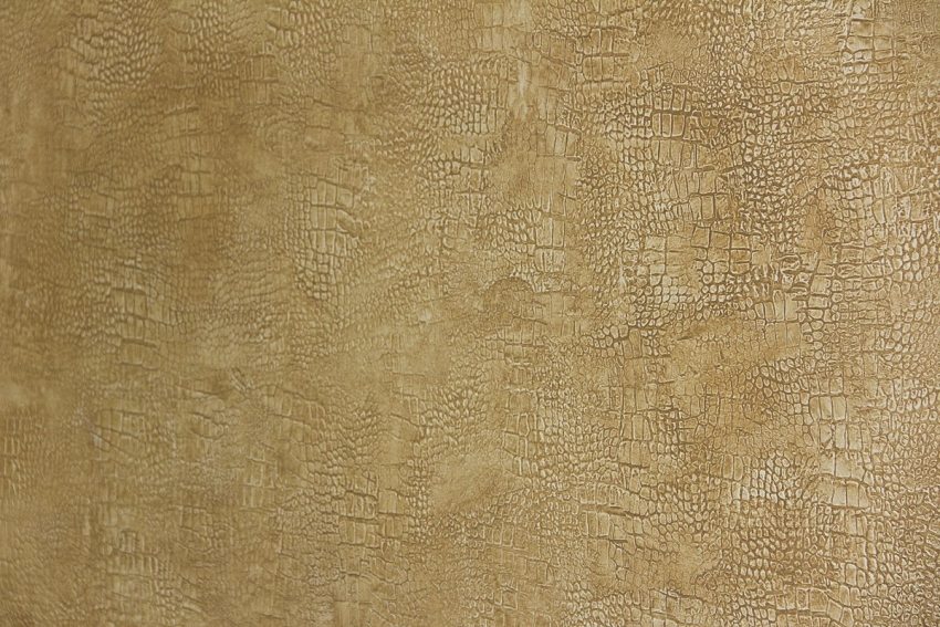 جزء من زخرفة الجدار بتقليد جلد التمساح جزء من زخرفة الجدار بتقليد جلد التمساح