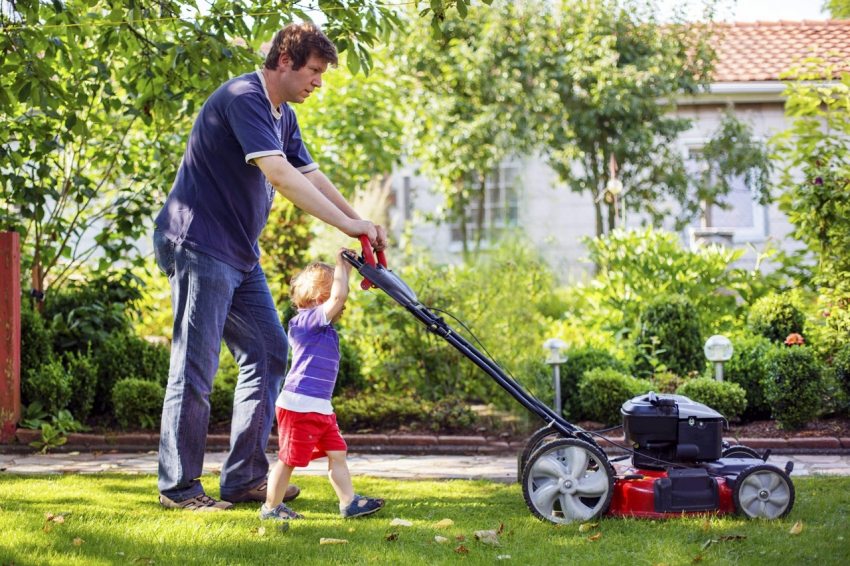 ความสะดวกสบายในการใช้เครื่องตัดหญ้าขึ้นอยู่กับคุณสมบัติหลายประการของการกำหนดค่า ความสะดวกสบายในการใช้เครื่องตัดหญ้าขึ้นอยู่กับคุณสมบัติหลายประการของการกำหนดค่า