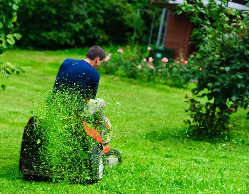 เครื่องตัดหญ้าน้ำมันสามารถช่วยคุณเปลี่ยนพื้นที่ที่ถูกทอดทิ้งให้กลายเป็นสนามหญ้าที่ตกแต่งอย่างสวยงาม เครื่องตัดหญ้าน้ำมันสามารถช่วยเปลี่ยนพื้นที่ที่ถูกทอดทิ้งให้กลายเป็นสนามหญ้าที่ได้รับการดูแลเป็นอย่างดี