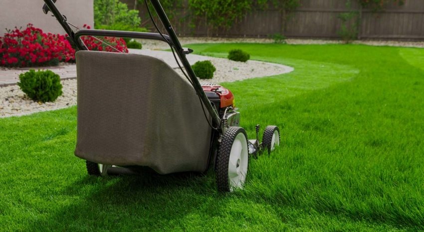 กระเป๋าผ้าเครื่องตัดหญ้า กระเป๋าผ้าเครื่องตัดหญ้า