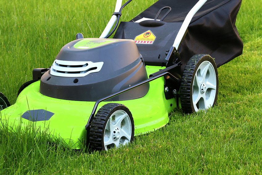 Les segadores de gespa rotatives són potents i poden enfrontar-se eficaçment a molts tipus de males herbes Els tallagespes rotatius són potents i poden fer front a molts tipus de males herbes