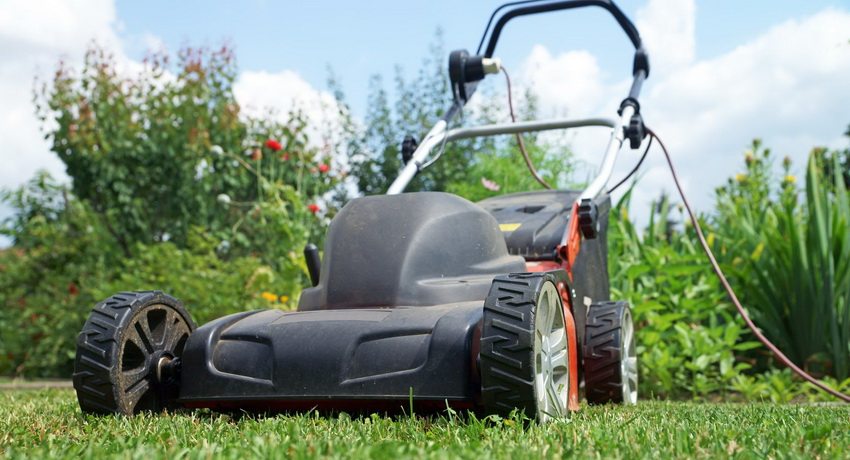 Tallagespa elèctric RWD Tallagespa elèctric RWD