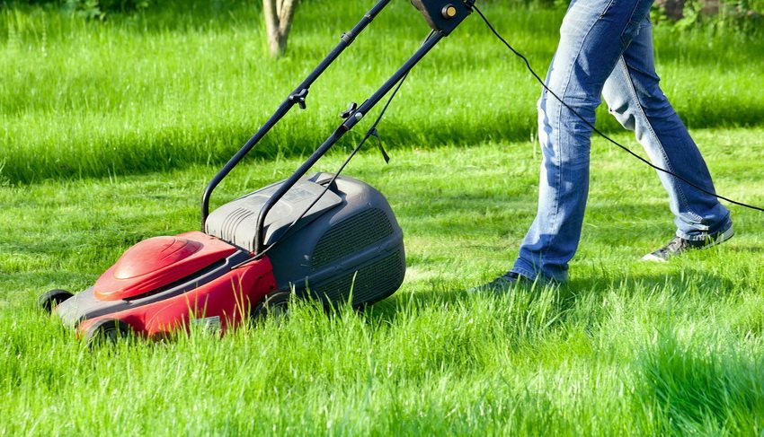 Utilitzar una segadora de gespa autopropulsada és fàcil, només cal establir la direcció Utilitzar una segadora de gespa autopropulsada és fàcil, només cal establir la direcció