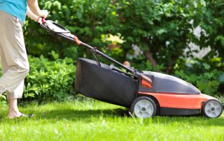 Classificació dels millors models de tallagespes elèctriques