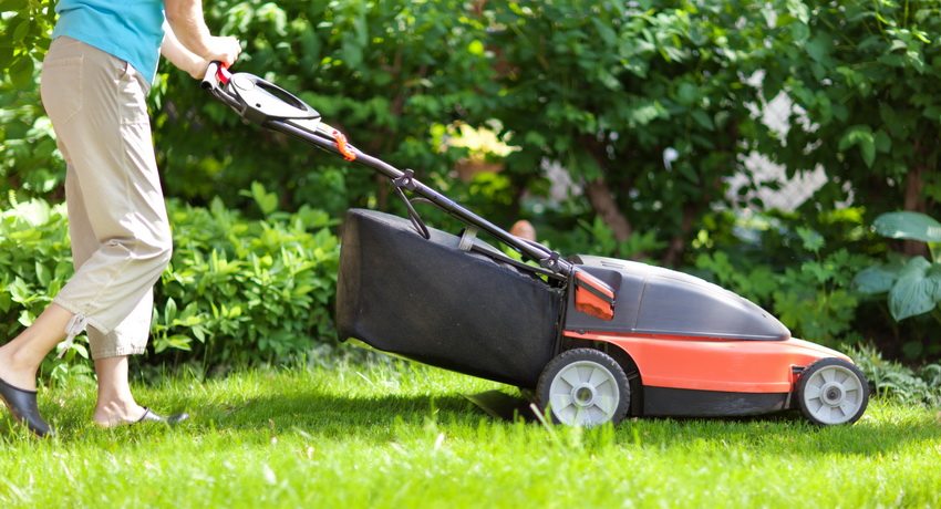 Un tallagespa elèctric és una bona opció per al servei de neteja Classificació dels millors models de tallagespes elèctriques