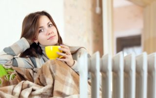 אילו תנורי חימום מתאימים ביותר לבית: ביקורות צרכנים, תיאור מכשירים