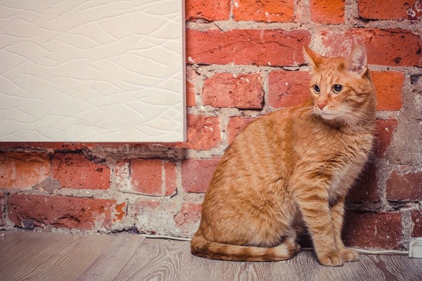 מחממי TeplEko הם בעלי ציפוי מרוכב המורכב מחול קוורץ מחממי TeplEko הם בעלי ציפוי מרוכב המורכב מחול קוורץ