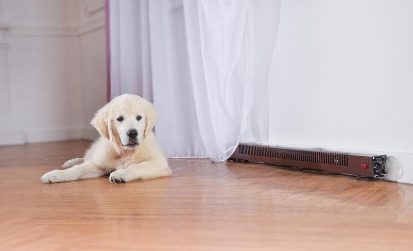 קונווקטור החצאית מגאדור הוא מכשיר יעיל במידות קומפקטיות קונווקטור החצאית מגאדור הוא מכשיר יעיל במידות קומפקטיות