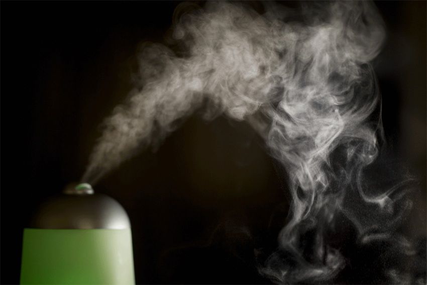 ความชื้นต่ำส่งผลเสียต่อพืชในร่มและเฟอร์นิเจอร์ไม้ ความชื้นต่ำส่งผลเสียต่อพืชในร่มและเฟอร์นิเจอร์ไม้