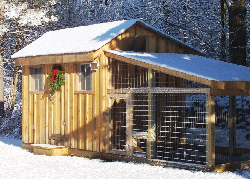 Et stille og vindstille sted på stedet er velegnet til at placere et hønsegård Et stille og vindstille sted på stedet er velegnet til at placere et hønsegård