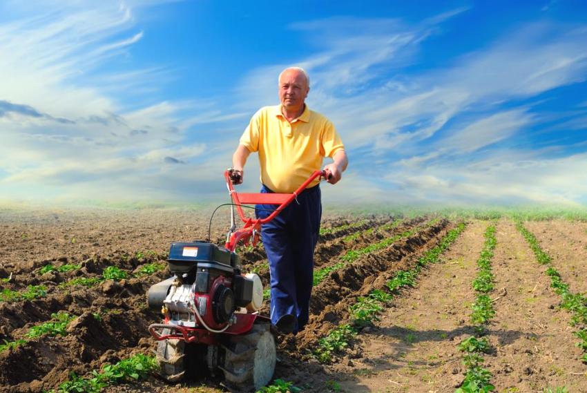 Ciri teknikal traktor berjalan kaki beberapa kali lebih tinggi daripada ciri penanam Ciri teknikal traktor berjalan kaki beberapa kali lebih tinggi daripada ciri penanam