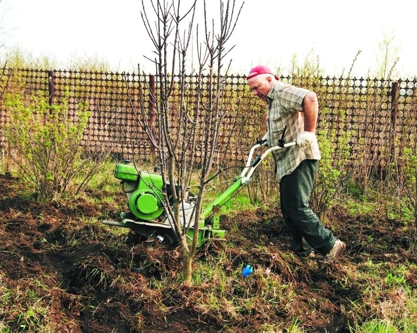 Semasa memilih traktor berjalan kaki, anda perlu menumpukan pada kekuatan, berat, kedalaman kerja dan pengeluarnya Semasa memilih traktor berjalan kaki, anda perlu menumpukan pada kekuatan, berat, kedalaman kerja dan pengeluarnya