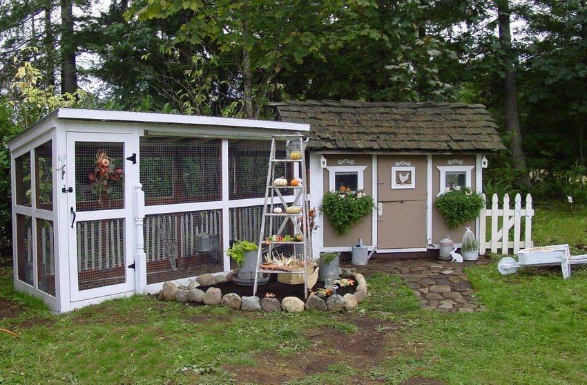 לאחר סיום הבנייה הראשית נדרשת עבודת גימור שבזכותה לול התרנגולות יכול להפוך לקישוט של החצר שלכם לאחר סיום הבנייה הראשית נדרשת עבודת גימור שבזכותה לול התרנגולות יכול להפוך לקישוט של החצר שלכם