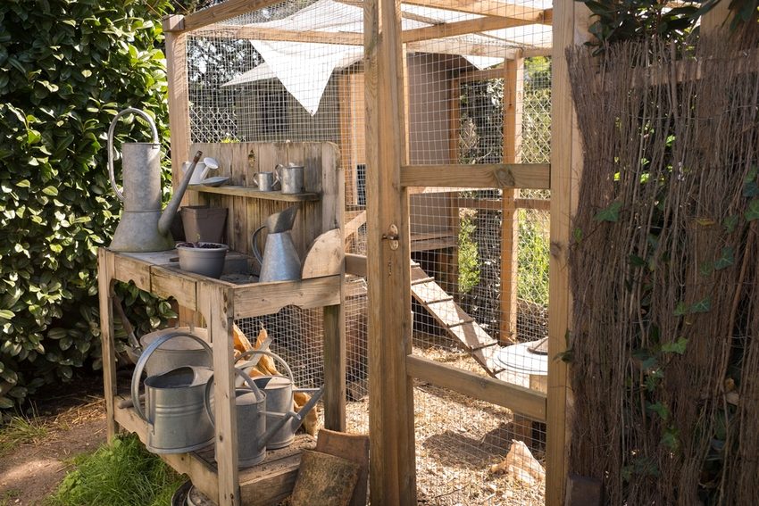 לול עופות DIY ל -10 תרנגולות לול עופות DIY ל -10 תרנגולות