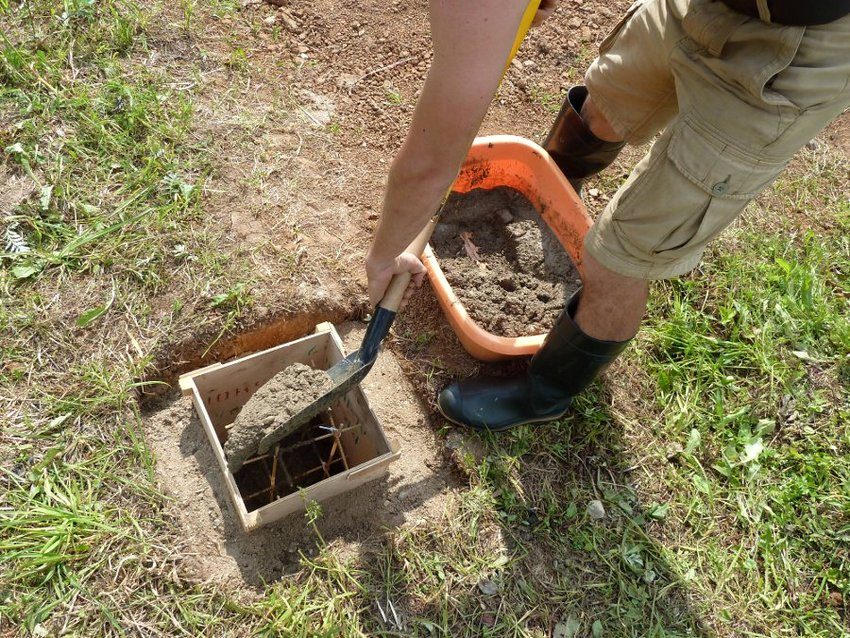 תהליך בניית יסוד עמוד ללול תרנגולות תהליך בניית יסוד עמוד ללול תרנגולות