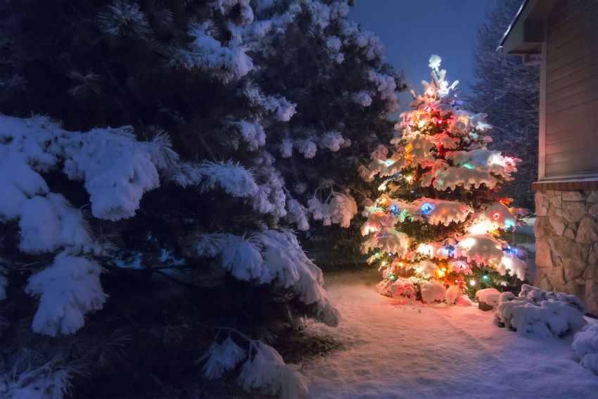 For bruk under utendørs forhold er det utviklet spesielle modeller av LED-strenger For bruk under utendørs forhold er det utviklet spesielle modeller av LED-strenger