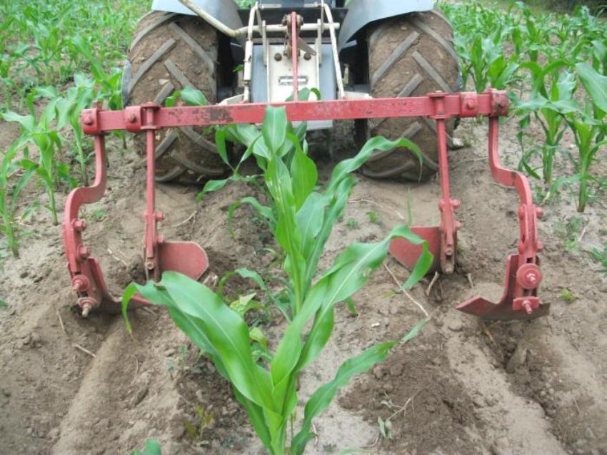 Selbst gemachter Grubber für Sommerhäuser Selbst gemachter Grubber für Sommerhäuser