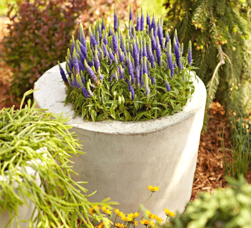 Bước 7: Bạn đặt lọ hoa đã hoàn thành lên vị trí và trồng cây vào đó Bước 7: Bạn đặt lọ hoa đã hoàn thành lên vị trí và trồng cây vào đó