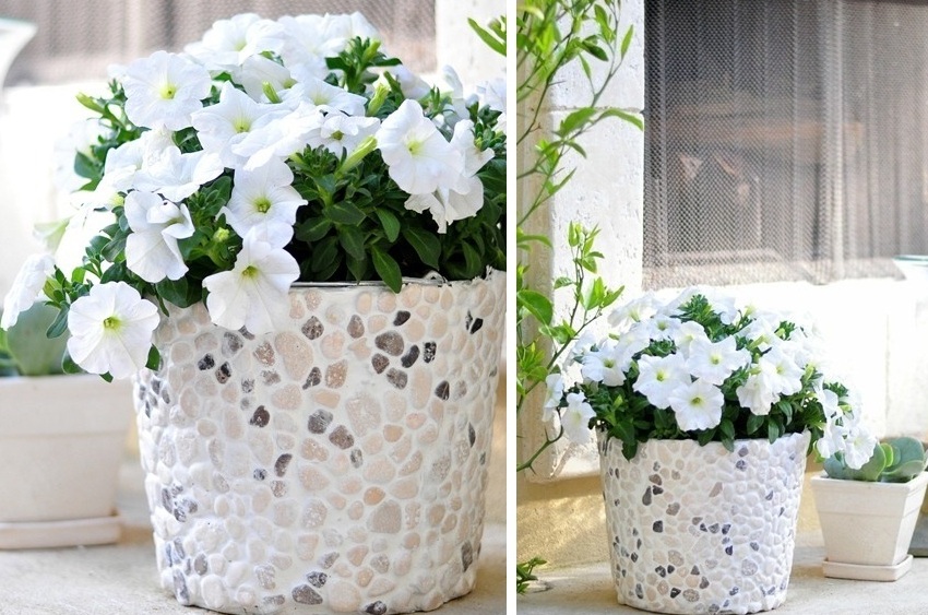 Trang trí chậu hoa bằng đá biển Trang trí chậu hoa bằng đá biển