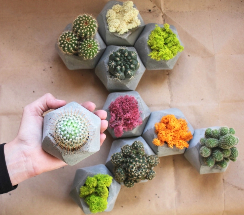 Nhà máy xi măng hình lục giác nhỏ Nhà máy xi măng hình lục giác nhỏ